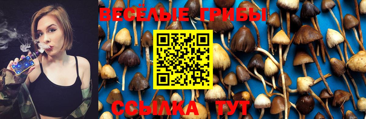Псилоцибиновые грибы мицелий Алапаевск