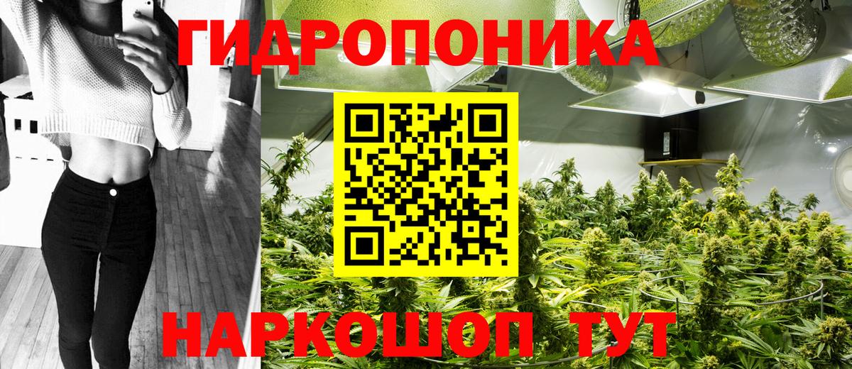 Бошки Шишки Amnesia Алапаевск